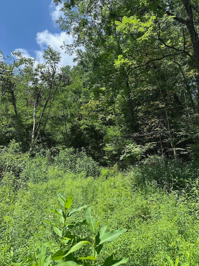 0 Bryant Hollow Rd unit 25-830, Eastern, WV 24910 - photo 7