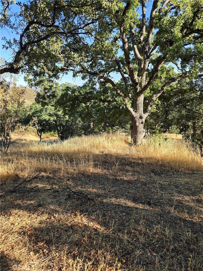 728 Watertrough Rd, Clearlake Oaks, CA 95423 - photo 3