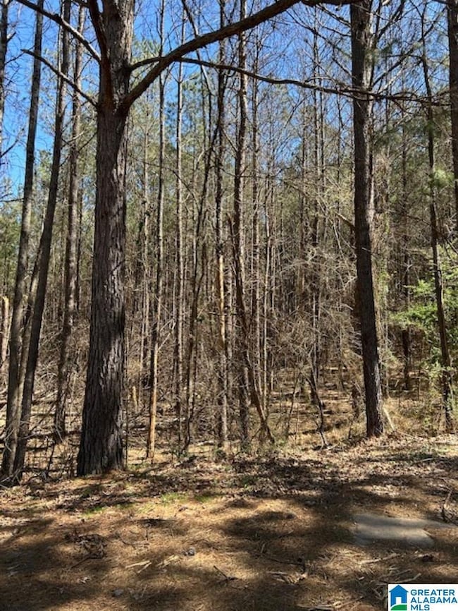 0 Kensington Blvd unit 21413574, McCalla, AL 35111 - photo 4