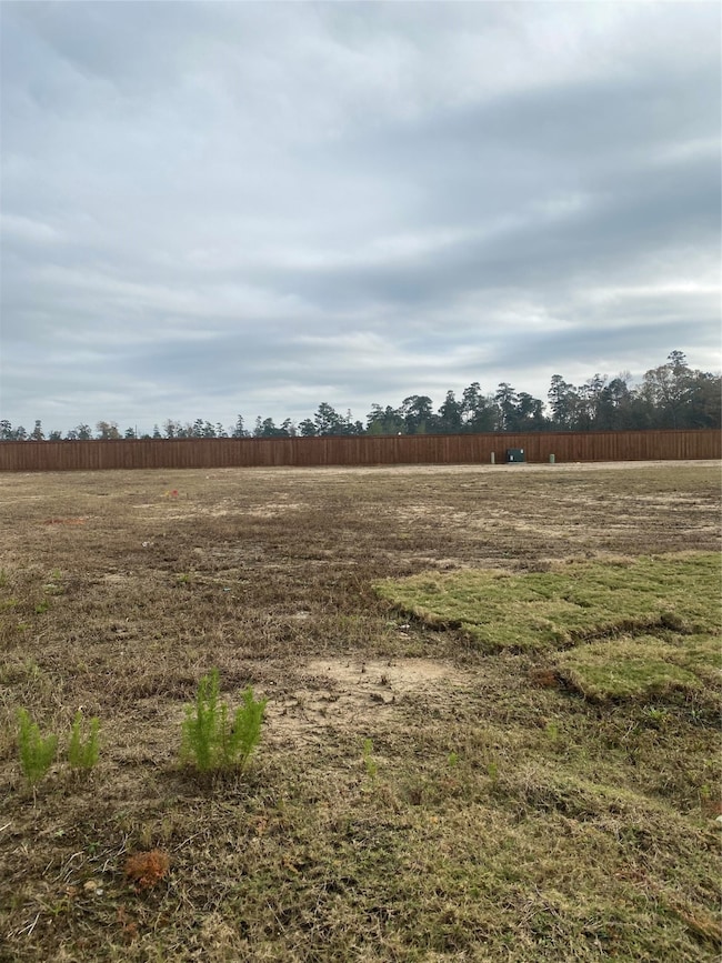 28210 Sterling Dr, Spring, TX 77386 - photo 3