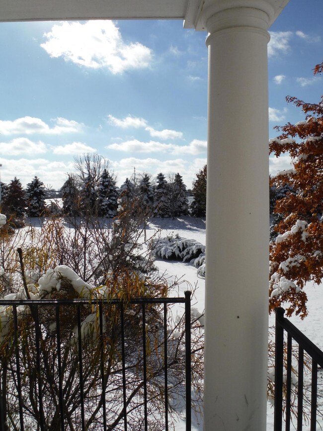 Porch View