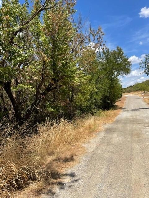 Tract 81 and 92 Bronco Ln, Weatherford, TX 76087 - photo 5