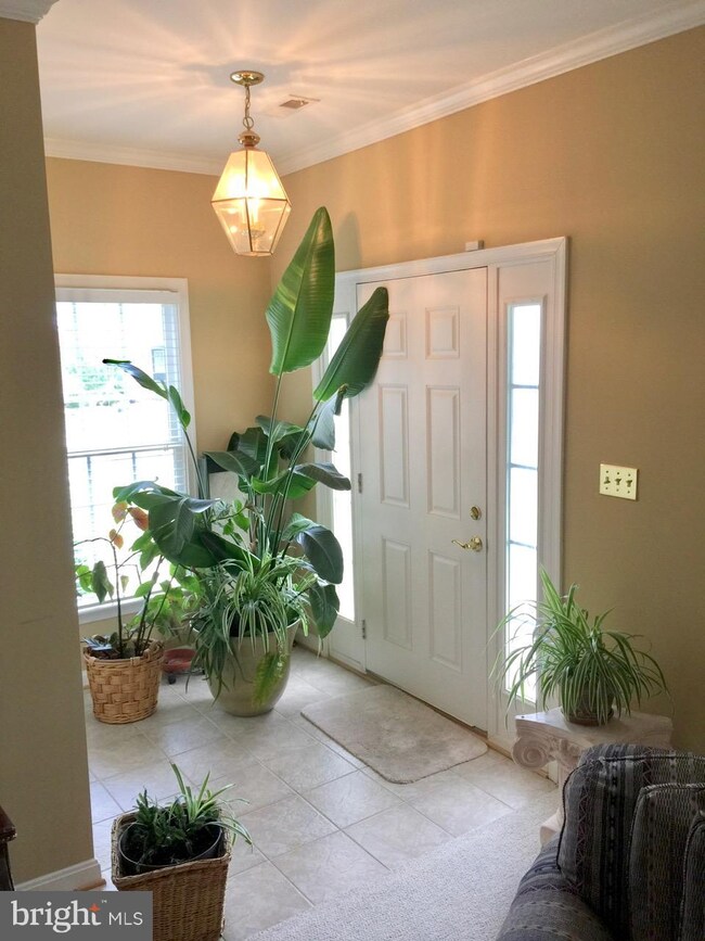 7014 Radford Dr, Fredericksburg, VA 22407 - photo 4