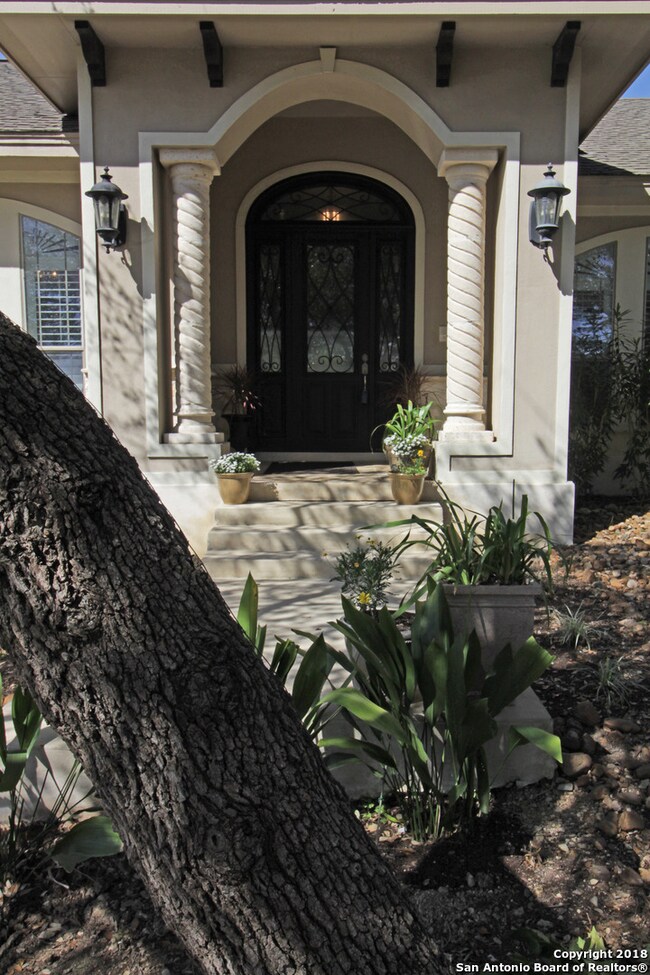 23118 Fossil Peak, San Antonio, TX 78261 - photo 2