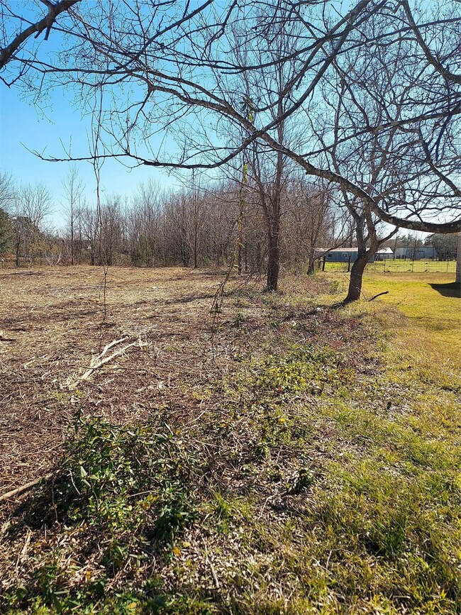 0 Tye Ln, Pearland, TX 77584 - photo 6