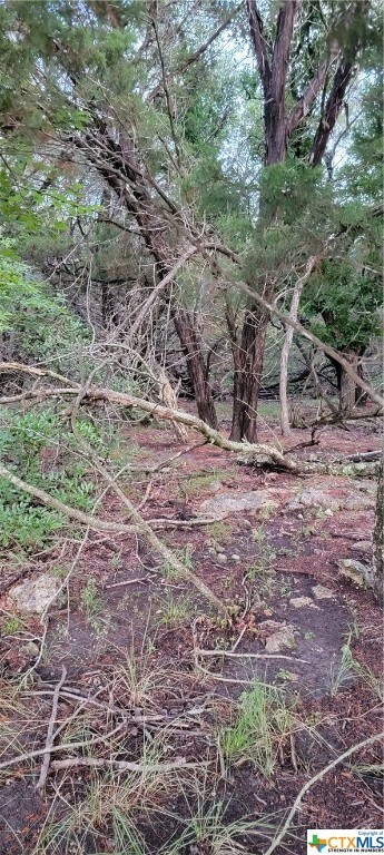 15969 Salado Dr, Temple, TX 76502 - photo 2