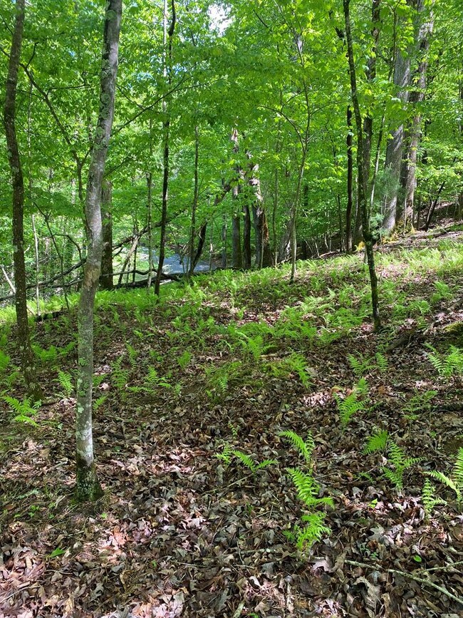 L409 Summit Ln, Ellijay, GA 30540 - photo 4