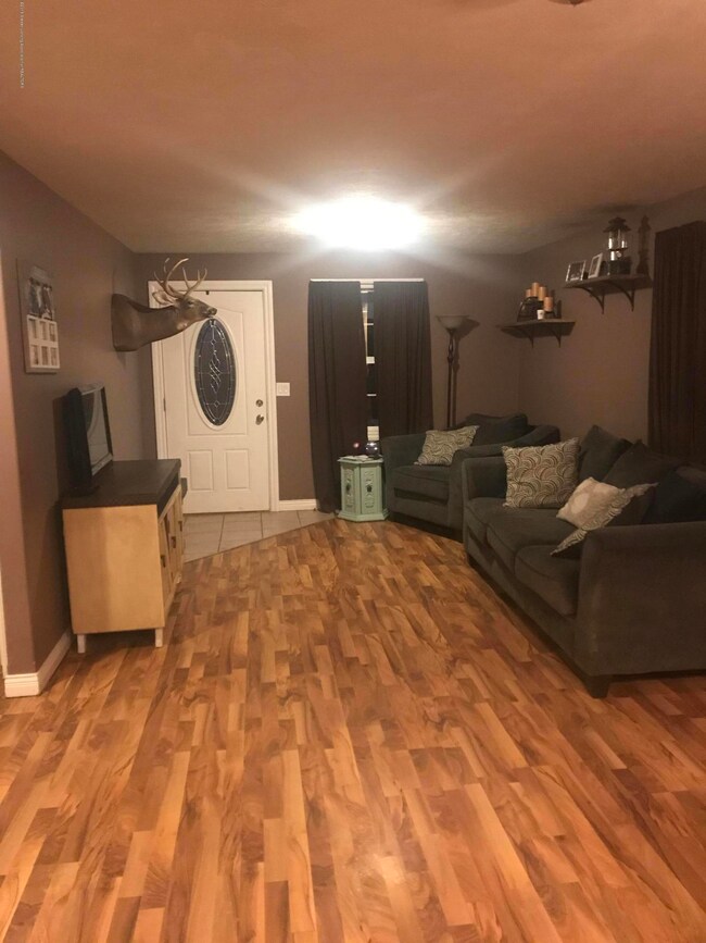 335 E Fargo St, Ionia, MI 48846 - photo 3