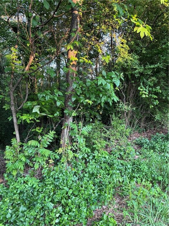 View of nature