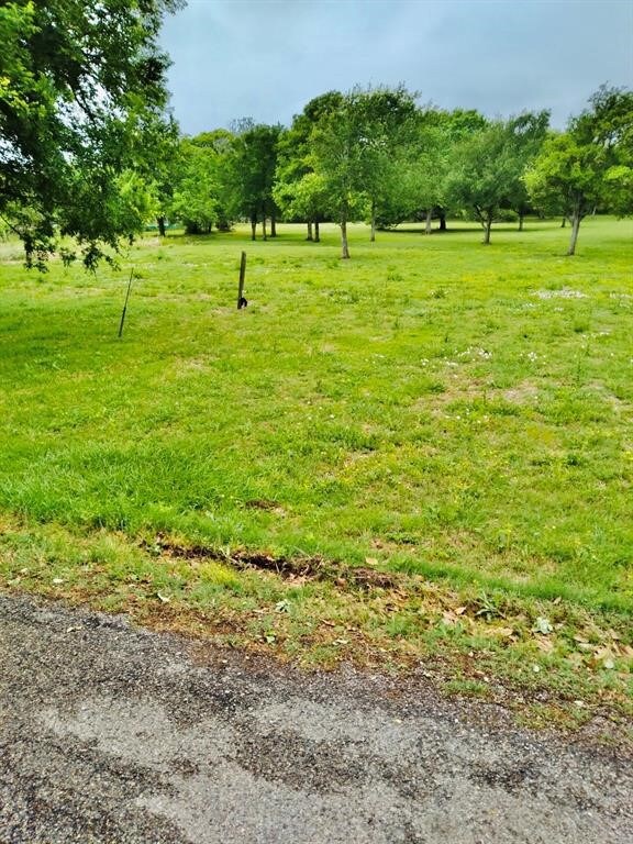 652 Live Oak Ave, Bay City, TX 77414 - photo 2