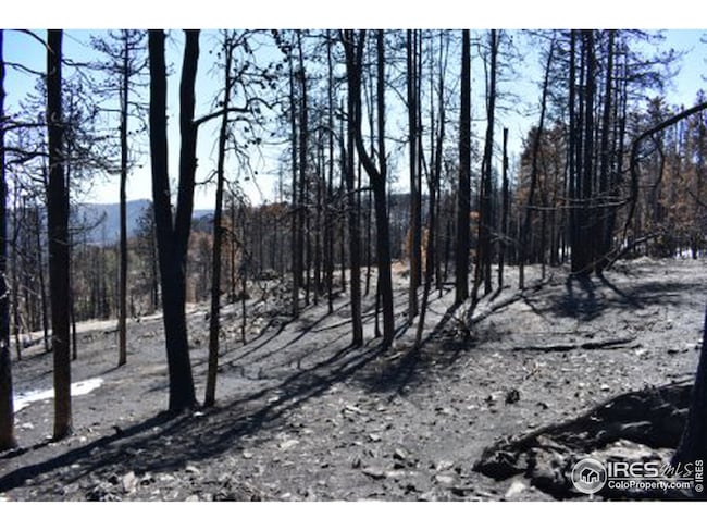 0 Crystal Mountain Rd unit 939671, Bellvue, CO 80512 - photo 3