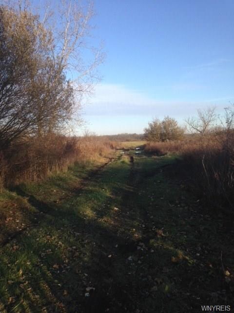 V/L Townline Rd W, Wheatfield, NY 14120 - photo 2