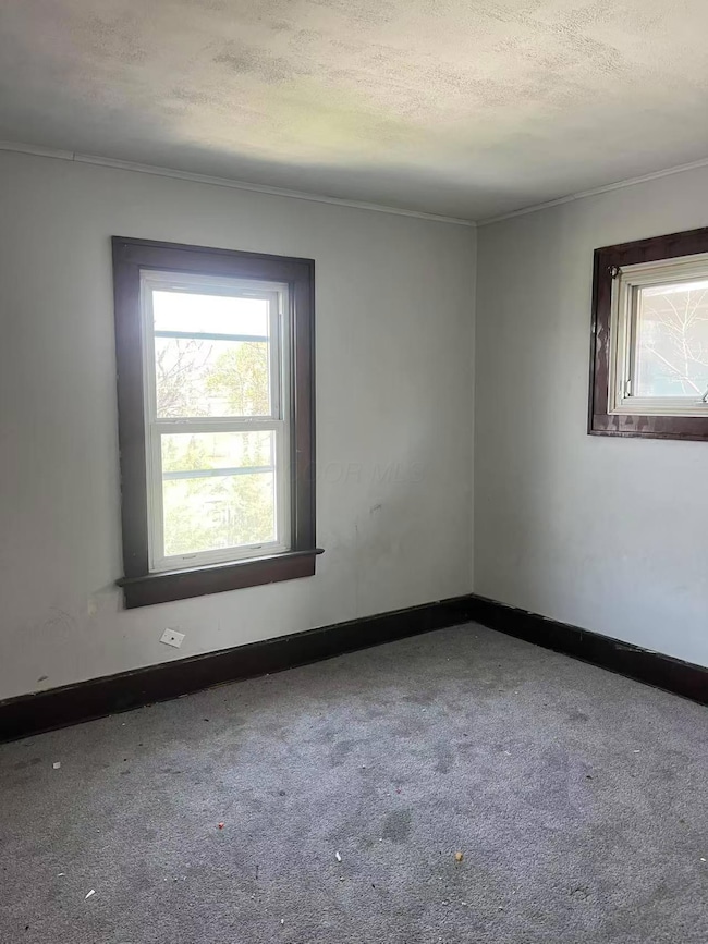 Image_20250419094357