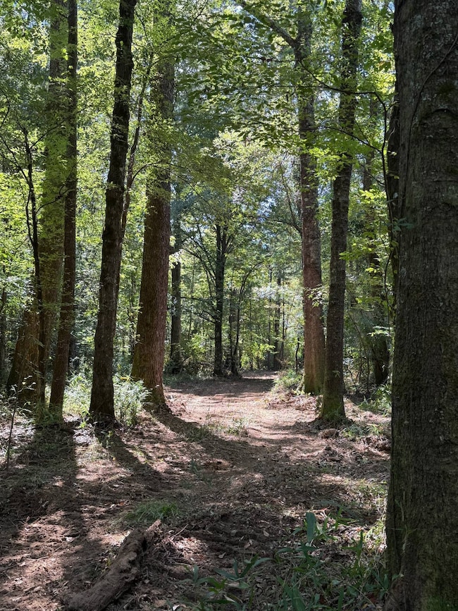 000 Pleasant Ridge Rd, Hickory, MS 39332 - photo 4