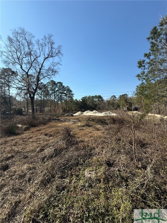 145 Middle Landing Rd, Bloomingdale, GA 31302 - photo 3