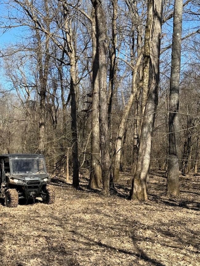 00 Shaw Chapel Rd, Brownsville, TN 38012 - photo 5