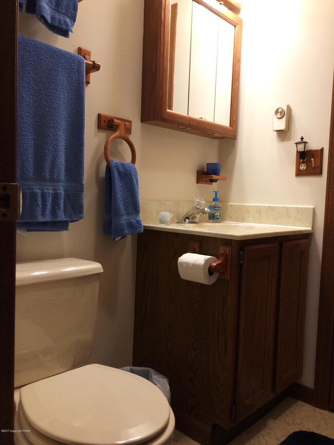 146 Piney Woods Dr, Jim Thorpe, PA 18229 - photo 7