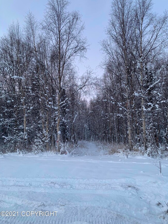 image00005