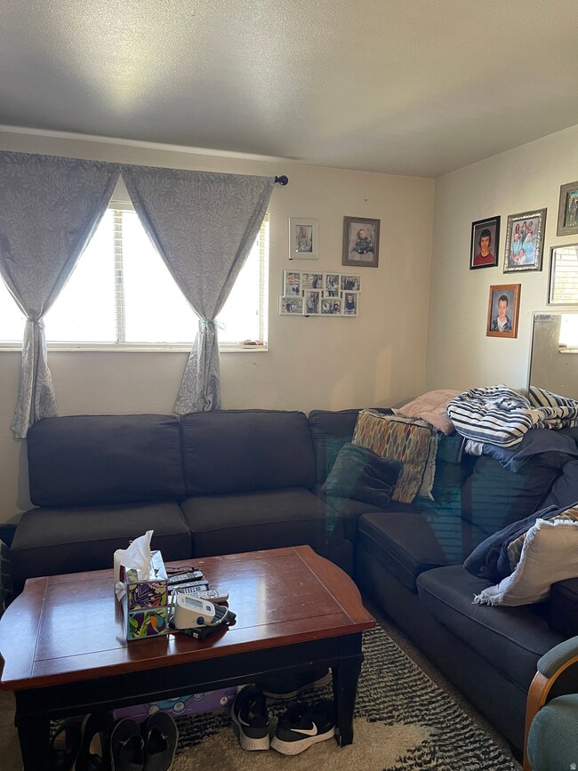 Living room with carpet and a textured ceiling