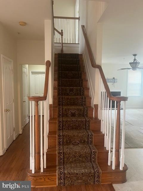 4225 Hatties Progress Dr, Bowie, MD 20720 - photo 5