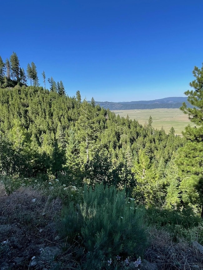 Tbd 80 W Fork Creek Rd, Cascade, ID 83611 - photo 3