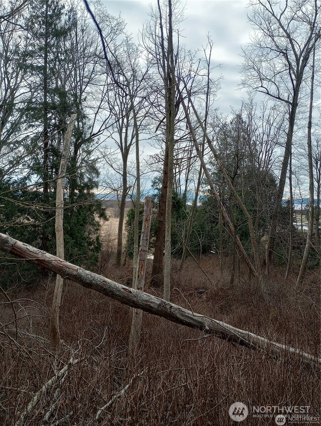 0 Red River Rd unit NWM2348264, Ferndale, WA 98248 - photo 2