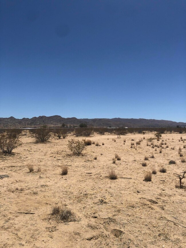 5320 Arizona Ave, Joshua Tree, CA 92252 - photo 7