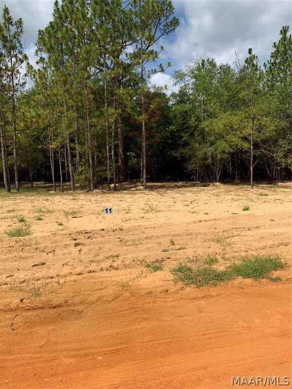 Lot 11 Deer Loop