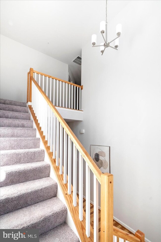 7810 Shelbourne Dr, Carvel Beach, MD 21226 - photo 5