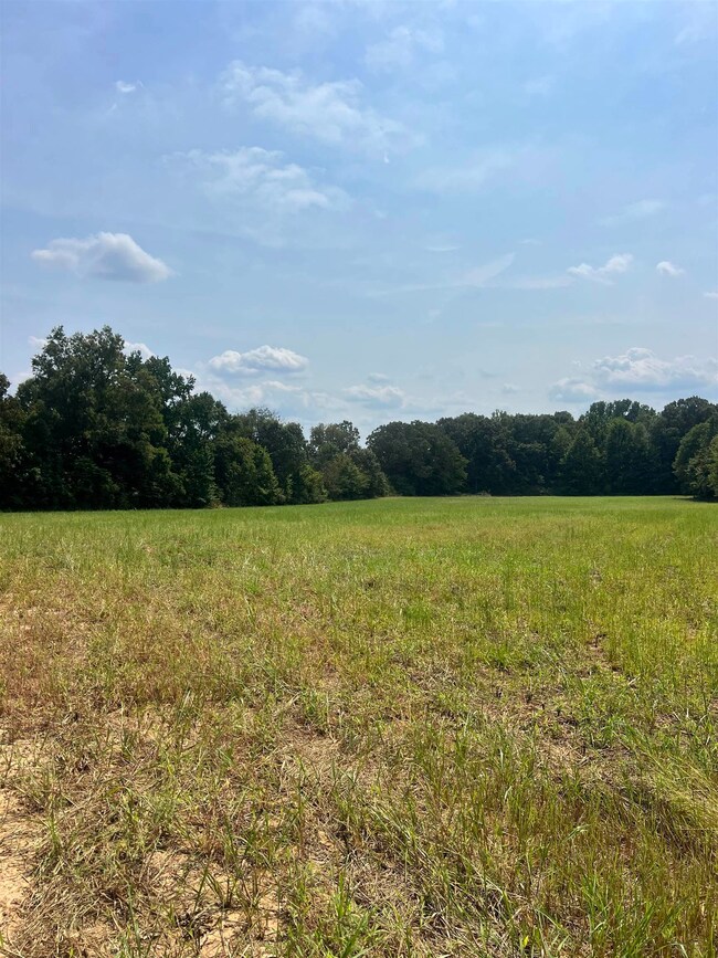 View of woods featuring a view of rural / pastoral area