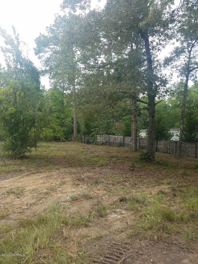 20200806_165453_resized