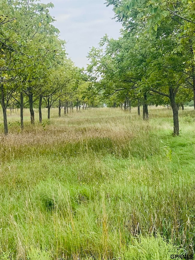 11905 W O St, Lincoln, NE 68528 - photo 5