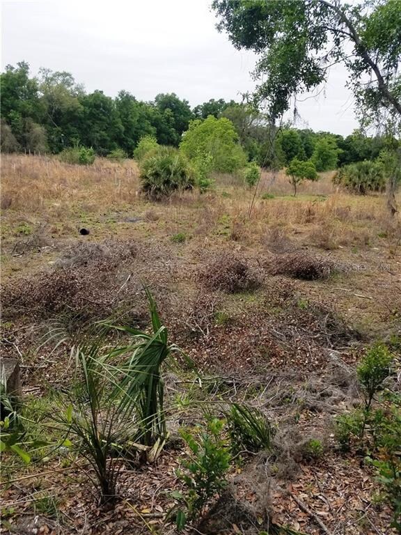 VIEW FROM THE OTHER SIDE OFF W. LANSDOWNE AVENUE