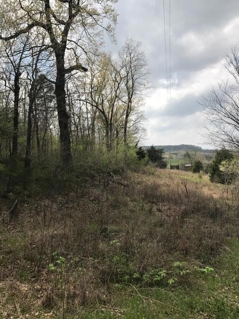 0 Prospect Rd unit RTC1815194, Prospect, TN 38477 - photo 3