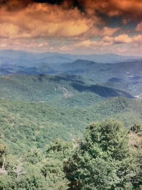 00 Trillium Ln, Mars Hill, NC 28754 - photo 2