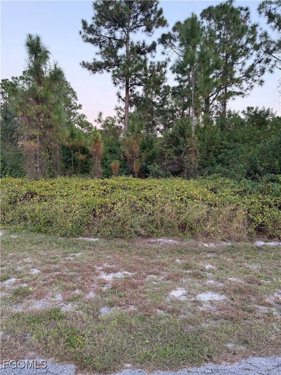 2002 Fitch Ave, Alva, FL 33920 - photo 2