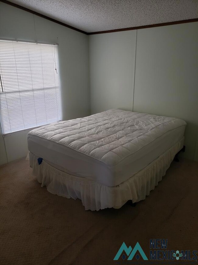 14030 Solana Rd SE, Deming, NM 88030 - photo 6