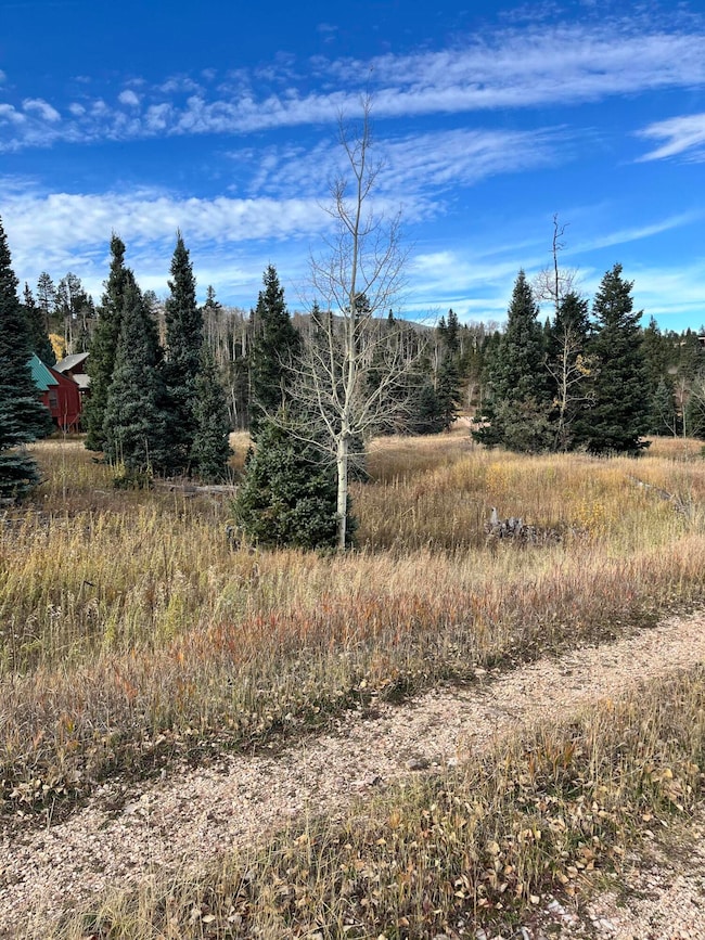 0 Panadero Ave unit 19, Cuchara, CO 81055 - photo 2