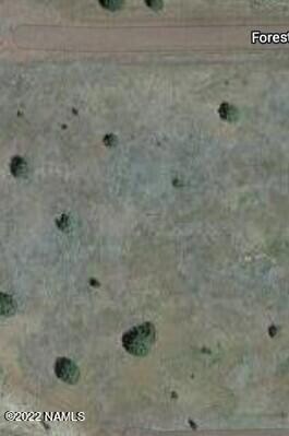 296 Forest Line Cir unit 781, Williams, AZ 86046 - photo 3