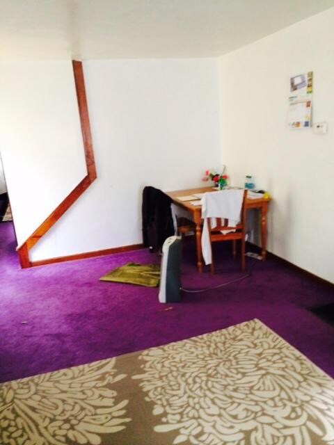 photo 1 (4)