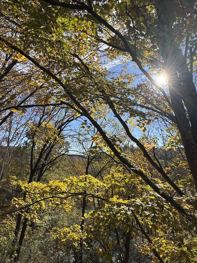 Gatlinburg view from back deck