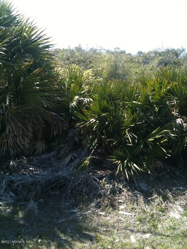 Wooded Lot