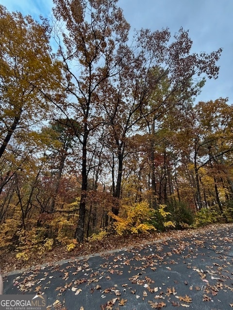 595 Whispering Dale Dr, Clarkesville, GA 30523 - photo 3