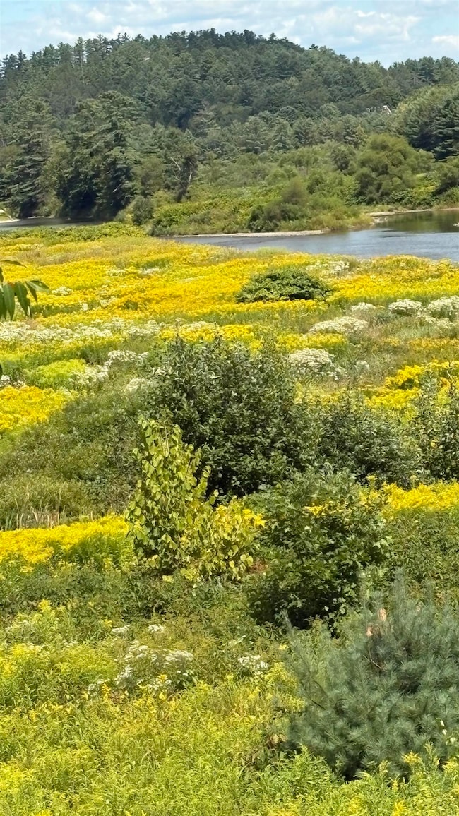 610 Bishop Rd, Lisbon, NH 03585 - photo 3