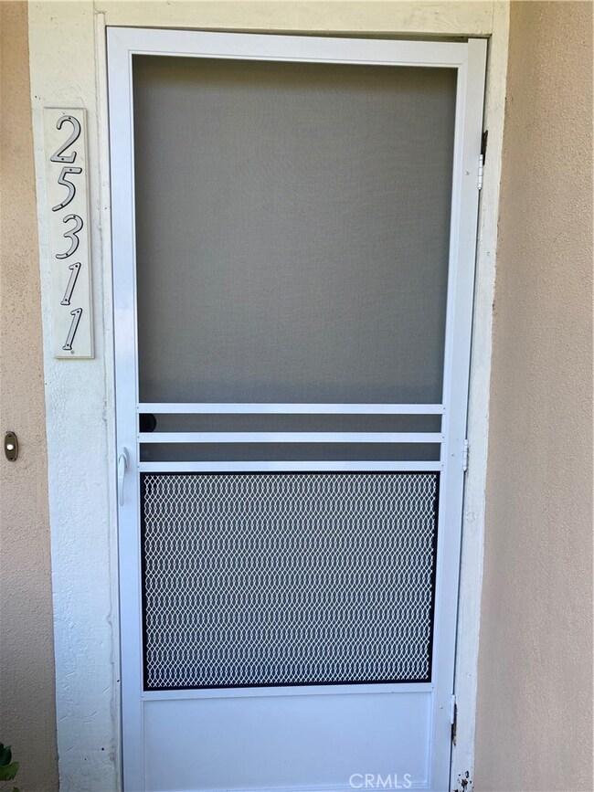 Front Door with Screen