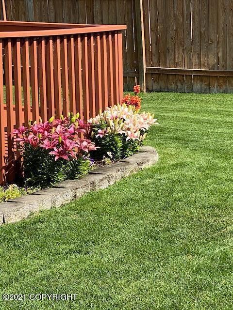 Lilies In Multiple Colors