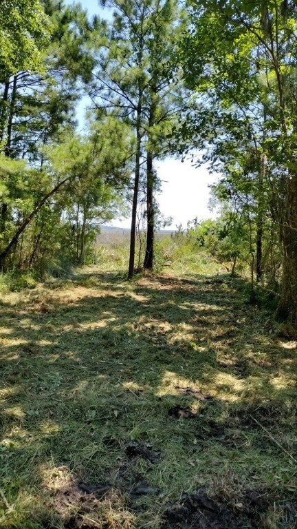 Marsh View Lots are 22, 27, 28, 29, 30