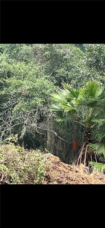 Back right corner is marked by orange paint on the tree