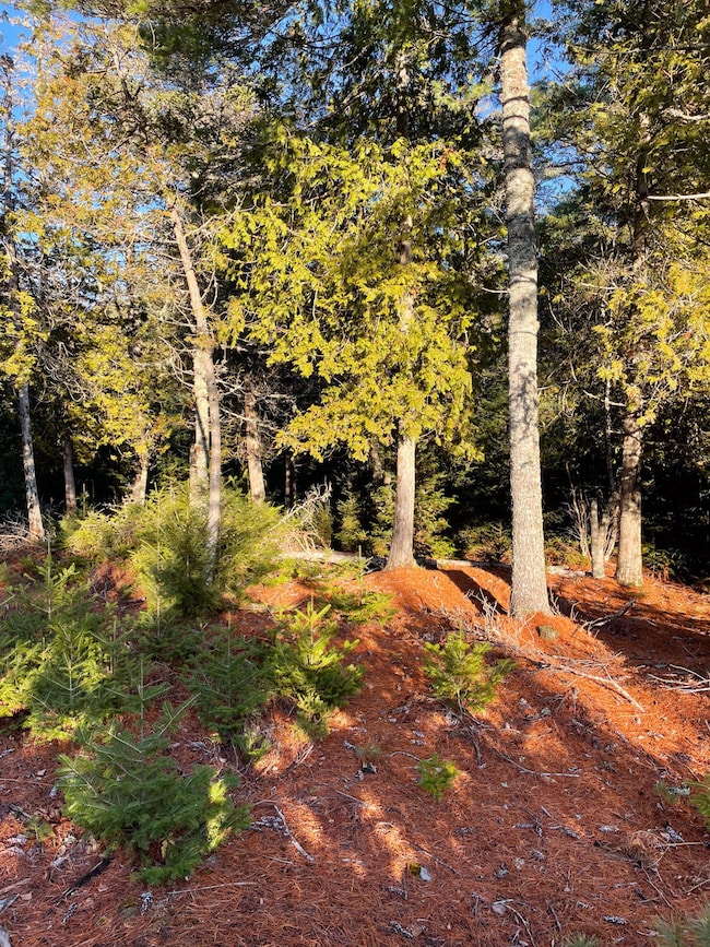 0 Juniper Ledge Rd unit 1646699, Bar Harbor, ME 04609 - photo 4