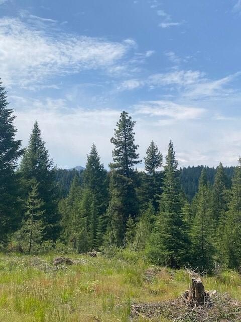 33 Challis Ln unit Lot 5, Cascade, ID 83611 - photo 4